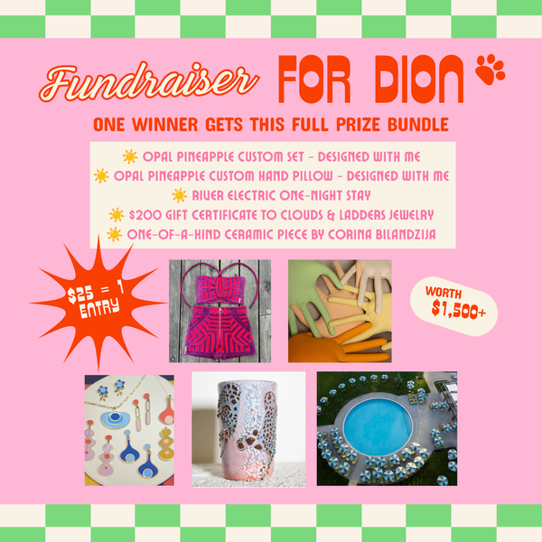 Dion Fundraiser Entry