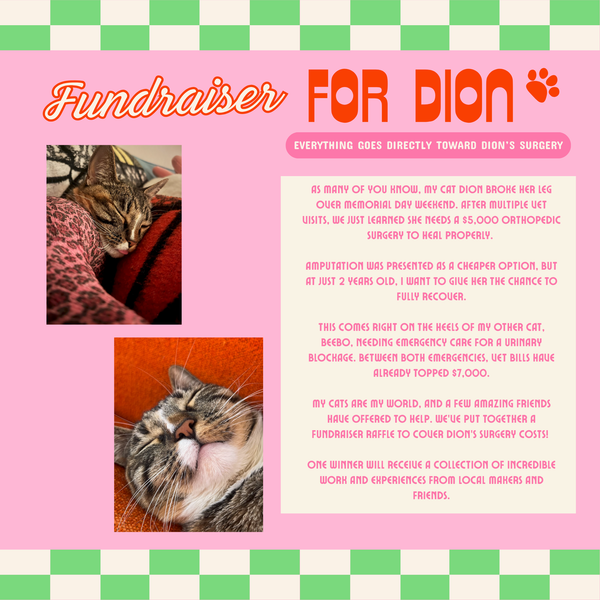 Dion Fundraiser Entry